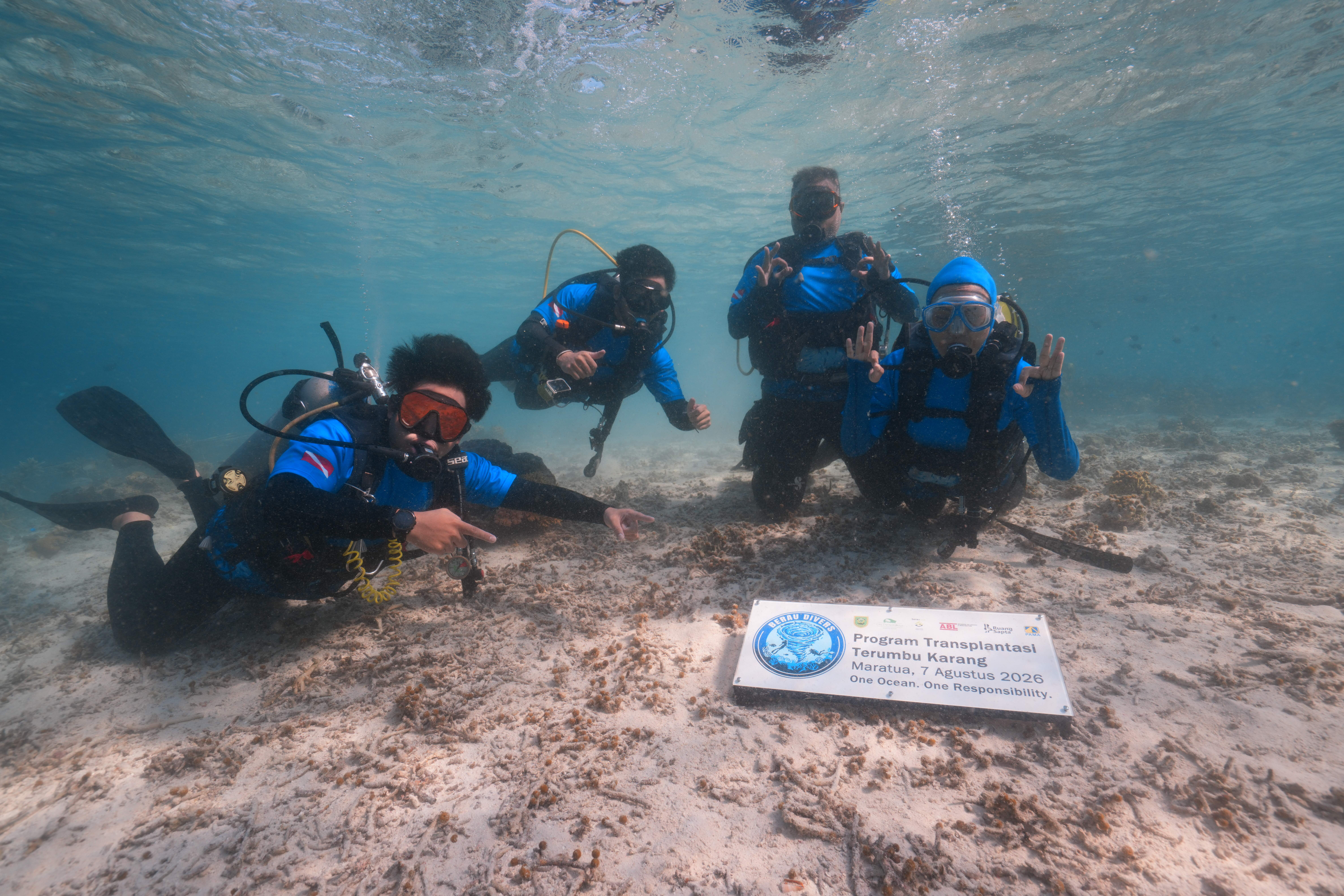 Para penyelam Berau Divers memasang plang program transplantasi karang di dasar laut.